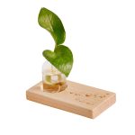 هدیه های سازمانی دارمازو مدل استند و گلدان شیشه ای