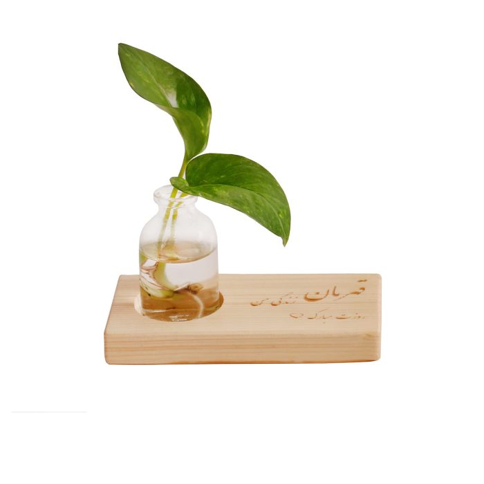 هدیه های سازمانی دارمازو مدل استند و گلدان شیشه ای