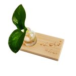 هدیه های سازمانی دارمازو مدل استند و گلدان چوبی